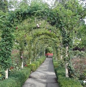 Meet your Posh Ambassador, AeSook!